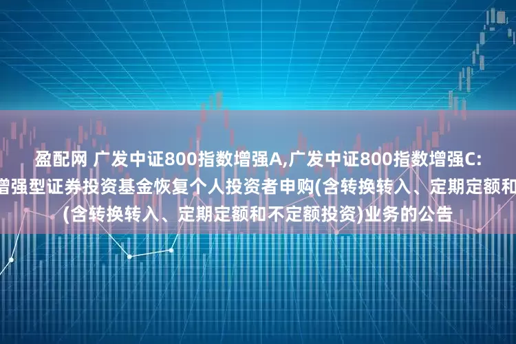 盈配网 广发中证800指数增强A,广发中证800指数增强C: 关于广发中证800指数增强型证券投资基金恢复个人投资者申购(含转换转入、定期定额和不定额投资)业务的公告