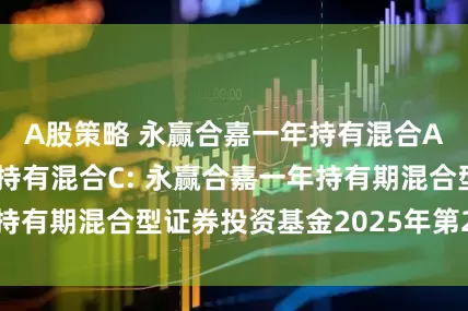 A股策略 永赢合嘉一年持有混合A,永赢合嘉一年持有混合C: 永赢合嘉一年持有期混合型证券投资基金2025年第2季度报告