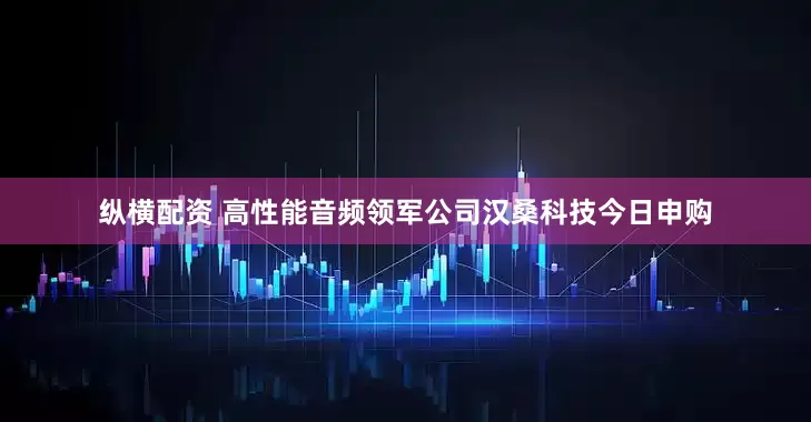 纵横配资 高性能音频领军公司汉桑科技今日申购