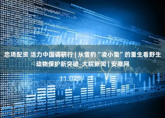 忠琦配资 活力中国调研行 | 从雪豹“凌小蛰”的重生看野生动物保护新突破_大皖新闻 | 安徽网