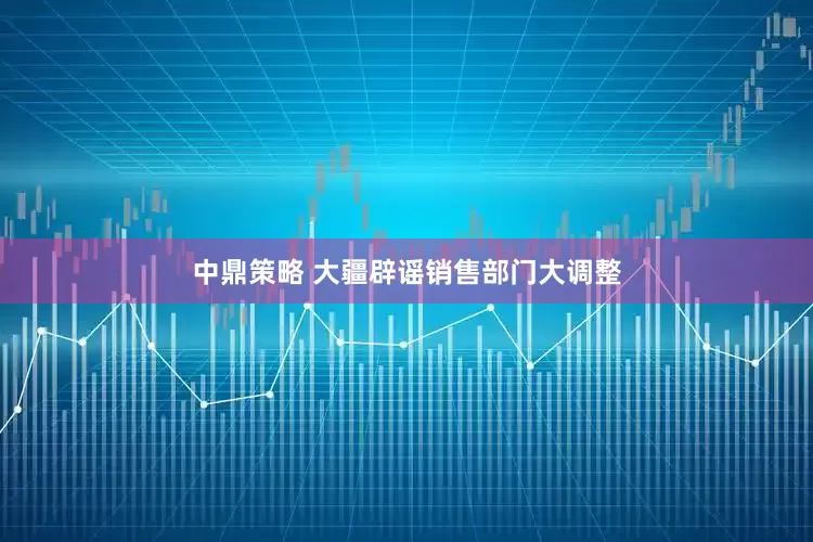 中鼎策略 大疆辟谣销售部门大调整