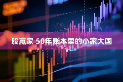 股赢家 50年账本里的小家大国